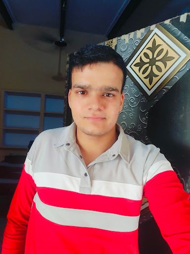 Dolphin Tour And Travels